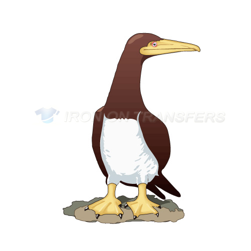 Birds Iron-on Stickers (Heat Transfers)NO.2187